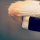 10 Beauty Vloggers You Need to Know About thumbnail